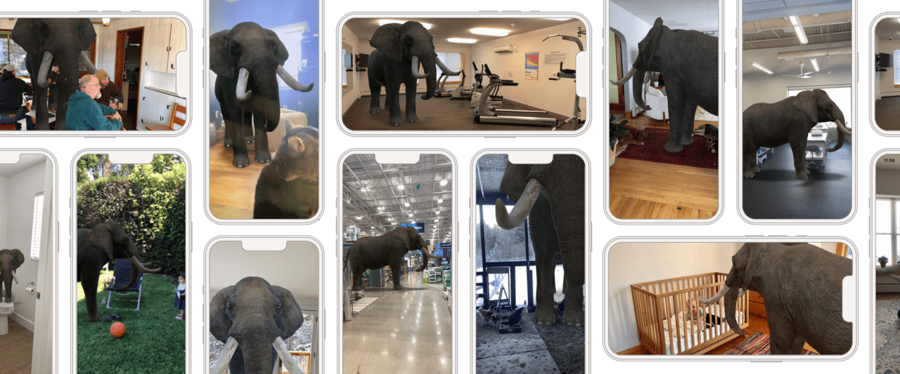 PECO_Elephant_3_Web