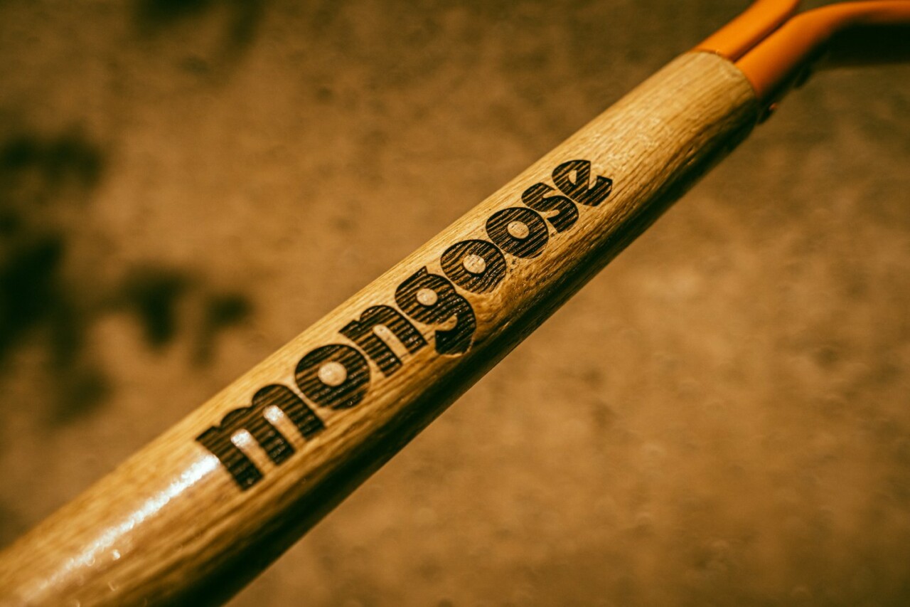 Mongoose_4B