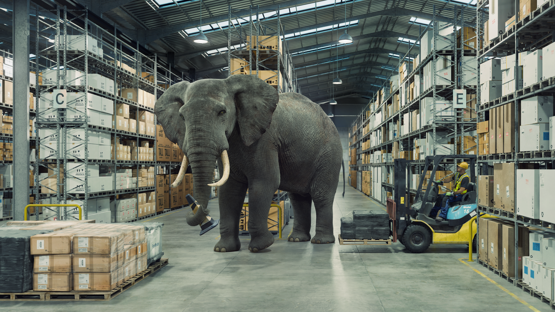 Peco_Warehouse